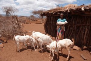 Ein deutscher Landwirtschaftsexperte in Tansania