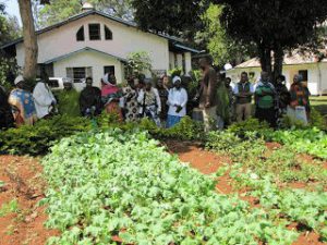 Ein deutscher Landwirtschaftsexperte in Tansania