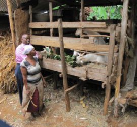 Ein deutscher Landwirtschaftsexperte in Tansania