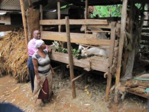 Ein deutscher Landwirtschaftsexperte in Tansania