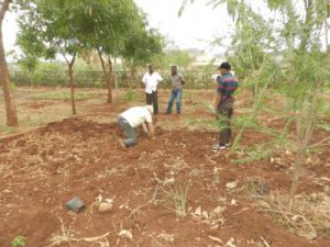 Ein deutscher Landwirtschaftsexperte in Tansania