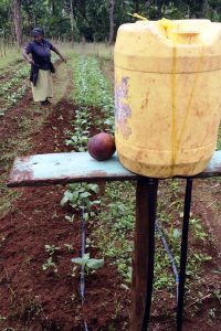 Einfaches Bewässerungssystem in Trockenzeiten